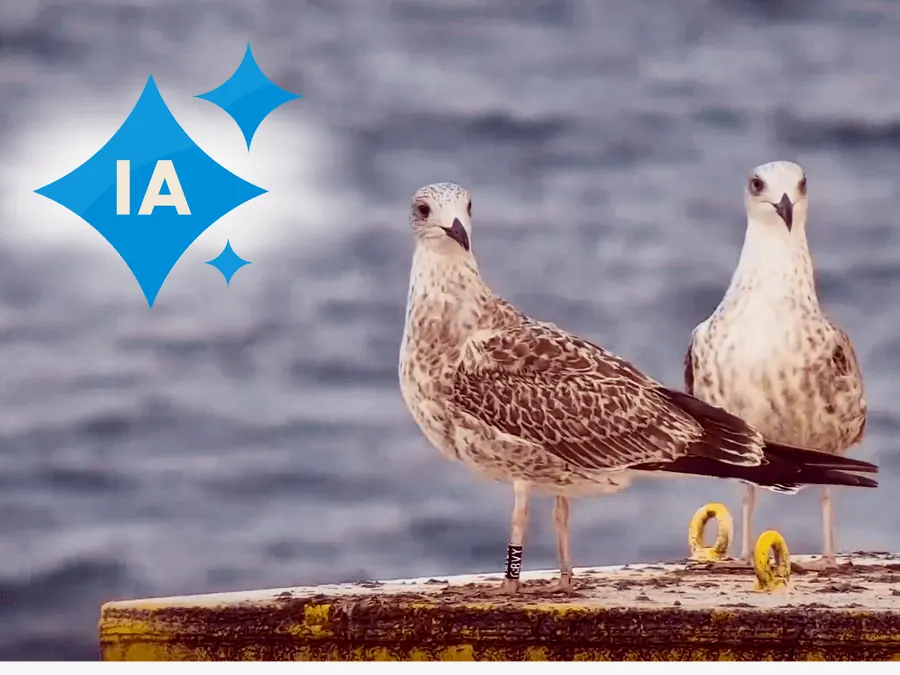 DemoSATH Lab: sustainable offshore wind with AI tools