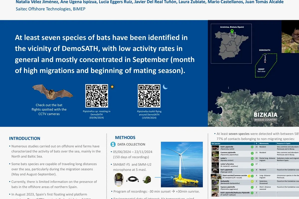 Bat monitoring poster at DemoSATH Lab