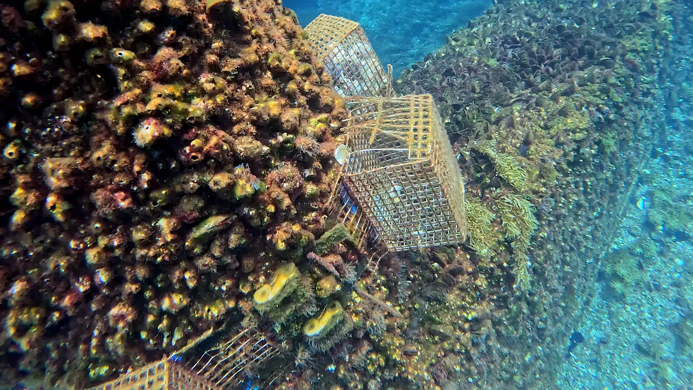 Underwater detail of solutions installed at DemoSATH