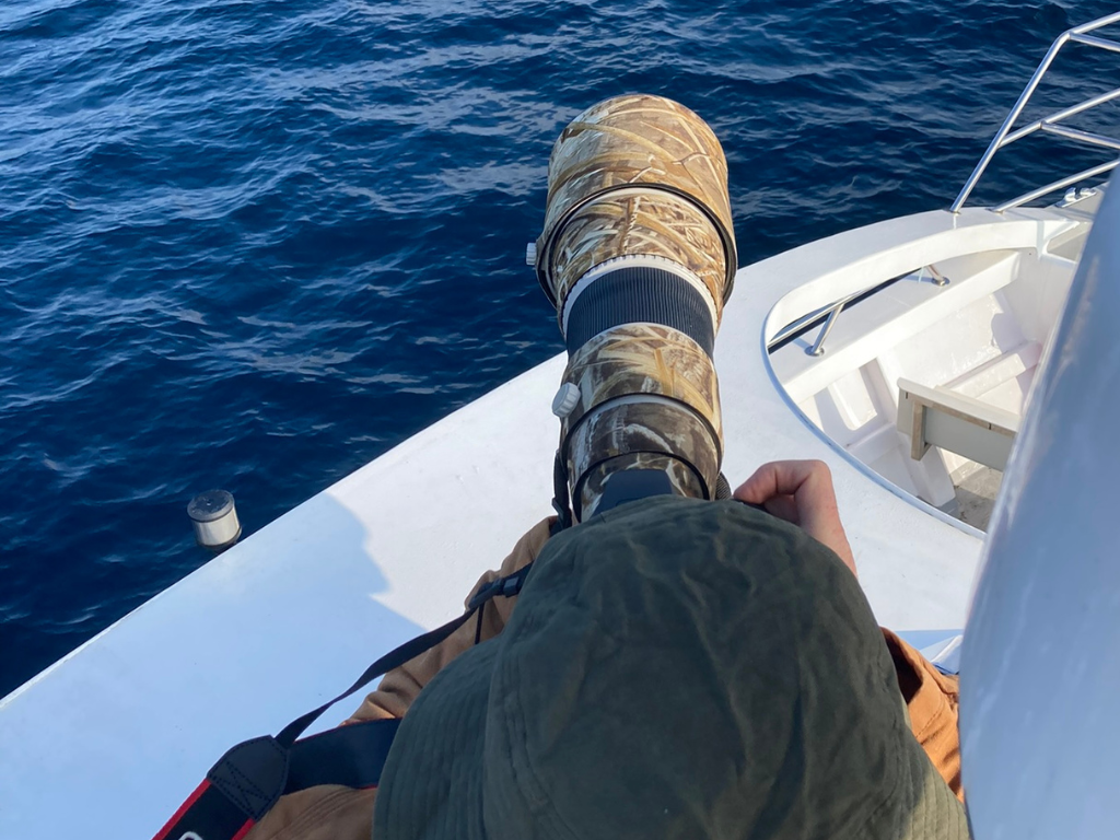 Bird and cetacean monitoring for GEROA