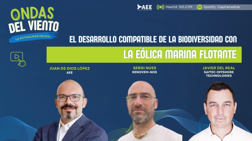 Saitec Offshore destaca el papel de la monitorización ambiental en el desarrollo de la eólica marina flotante