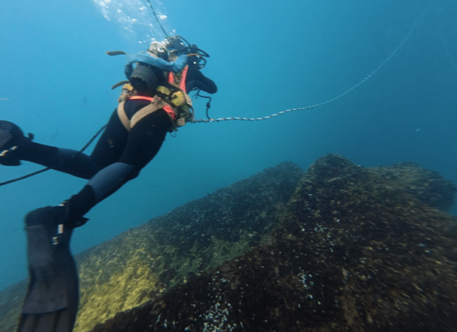 Diver performing an inspection of aquaculture equipment on an offshore structure