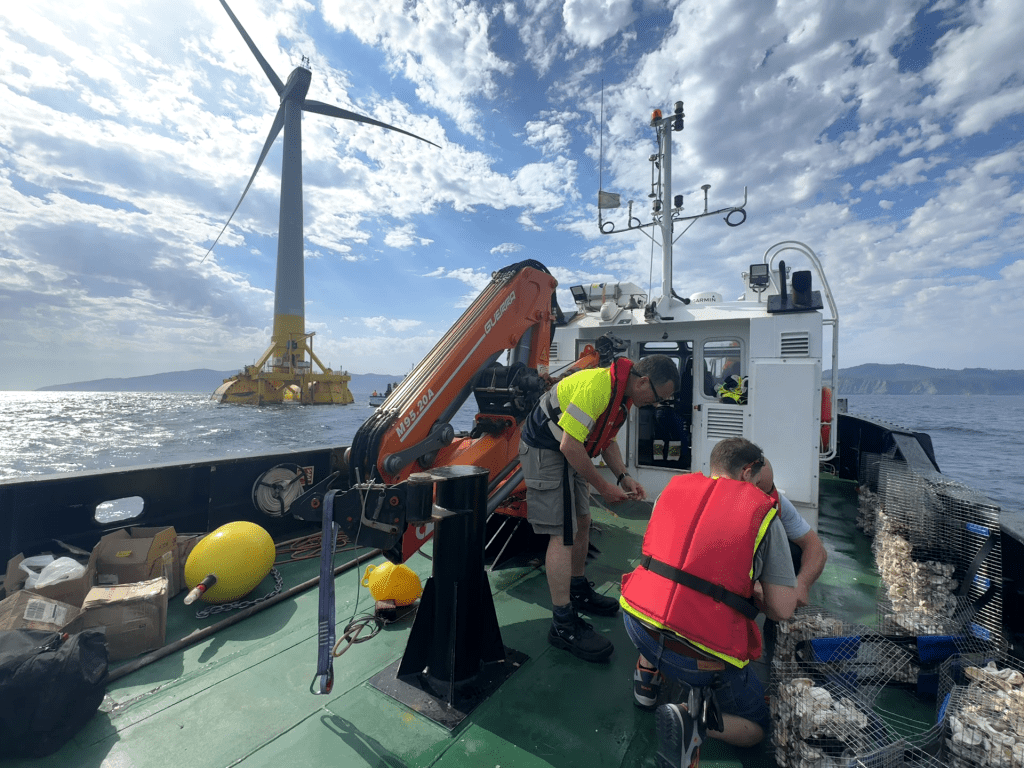 Eólica marina en el Mediterráneo: de los desafíos identificados a la experiencia en el mundo real. – vlcsnap 2026 06 26 11h22m28s684