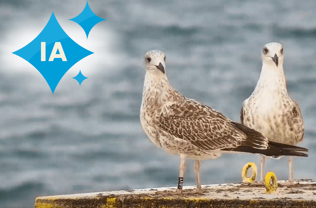 AI tools for biodiversity monitoring - floating wind