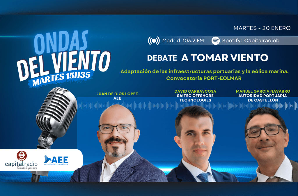 Spain’s wind energy sector calls for faster regulation and offshore wind auctions