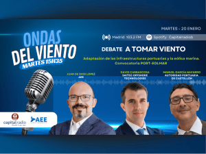 Spain’s wind energy sector calls for faster regulation and offshore wind auctions