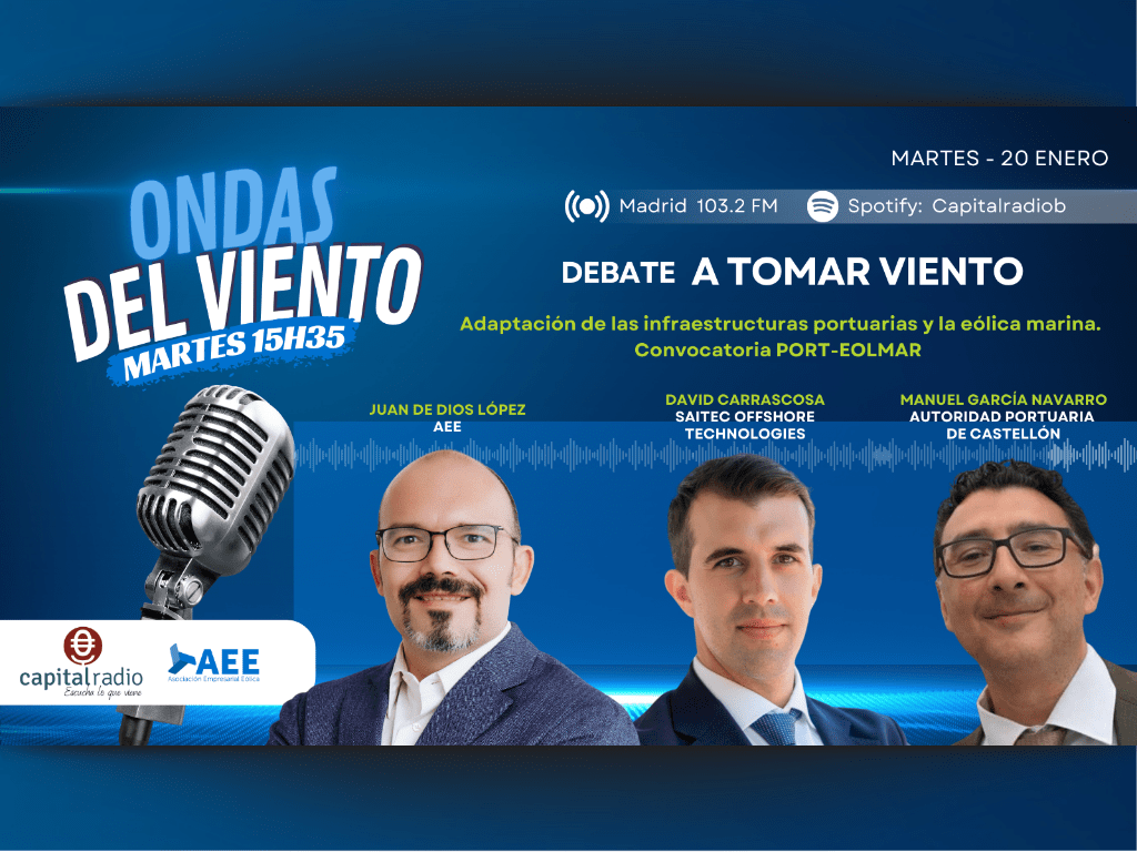 Spain’s wind energy sector calls for faster regulation and offshore wind auctions