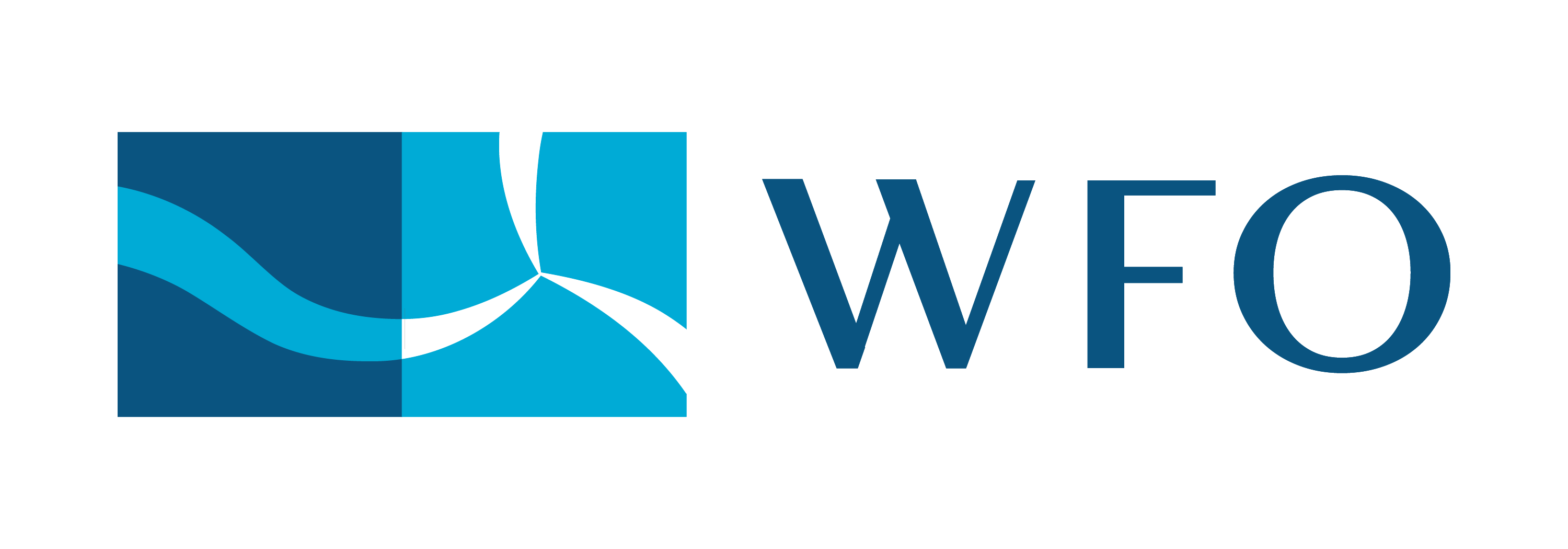 World Forum Offshore Wind