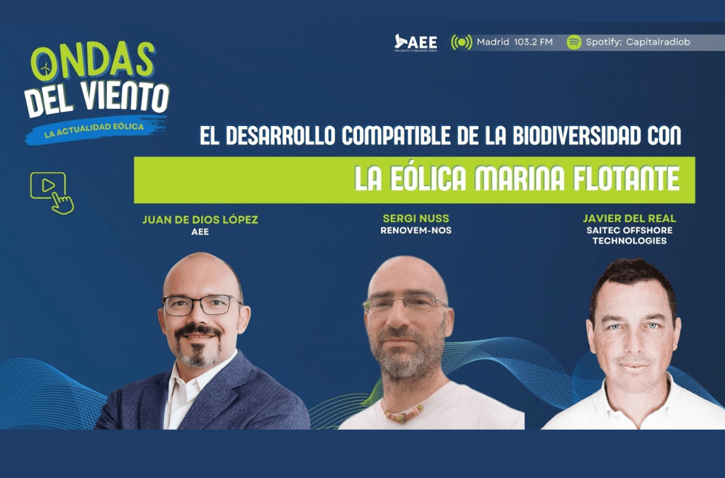 Saitec Offshore shares insights from Demosath Lab on environmental monitoring, floating offshore wind and coexistence with marine biodiversity