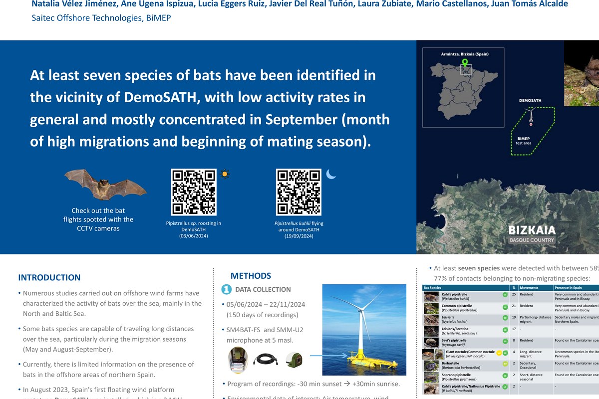 Bat monitoring in DemoSATH poster
