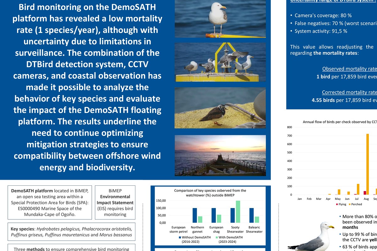 Bird monitoring around DemoSATH floating offshore wind platform poster