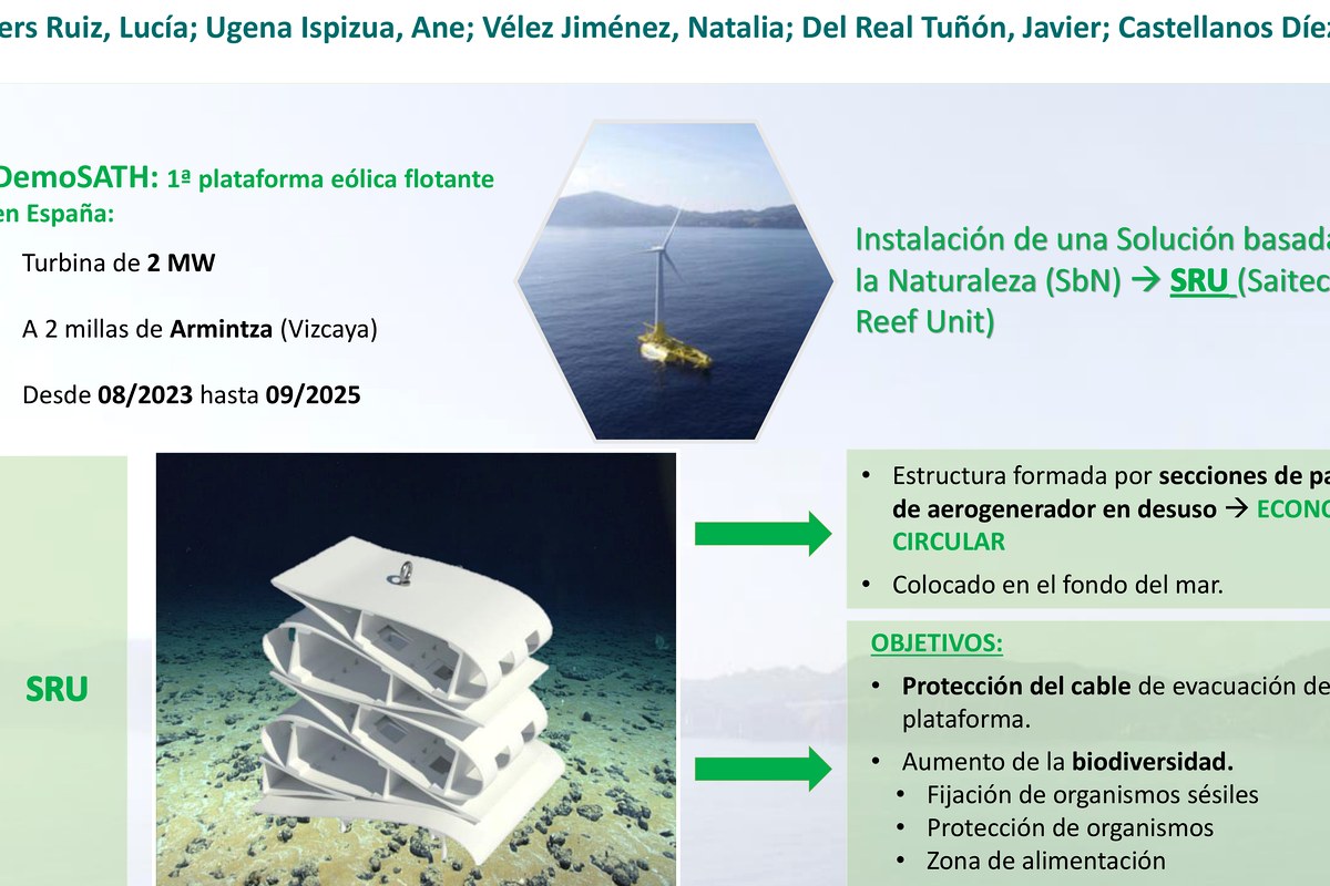 Nature-Based Solutions in DemoSATH poster