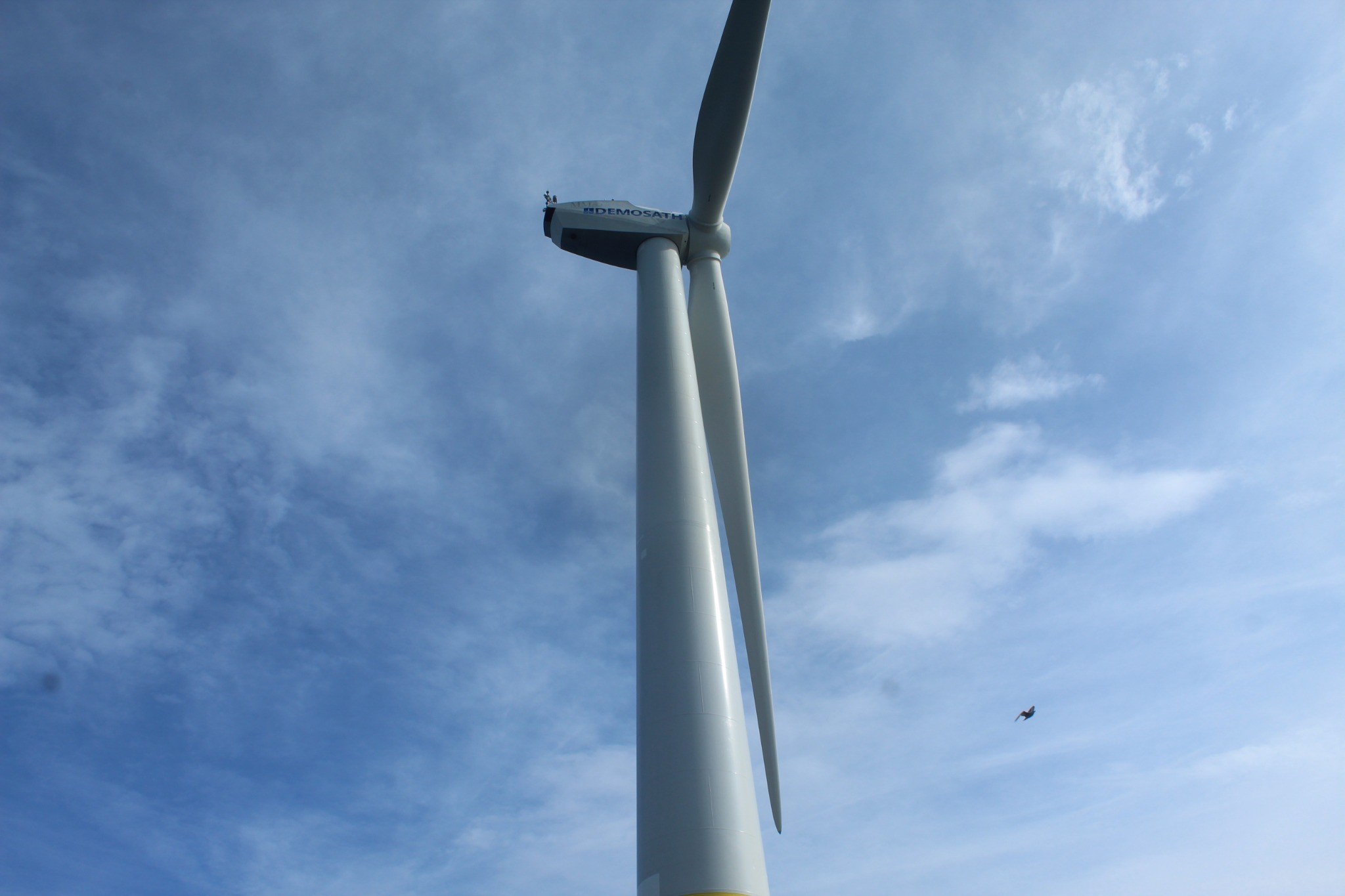 DemoSATH floating wind turbine seen from below with a seabird flying nearby.