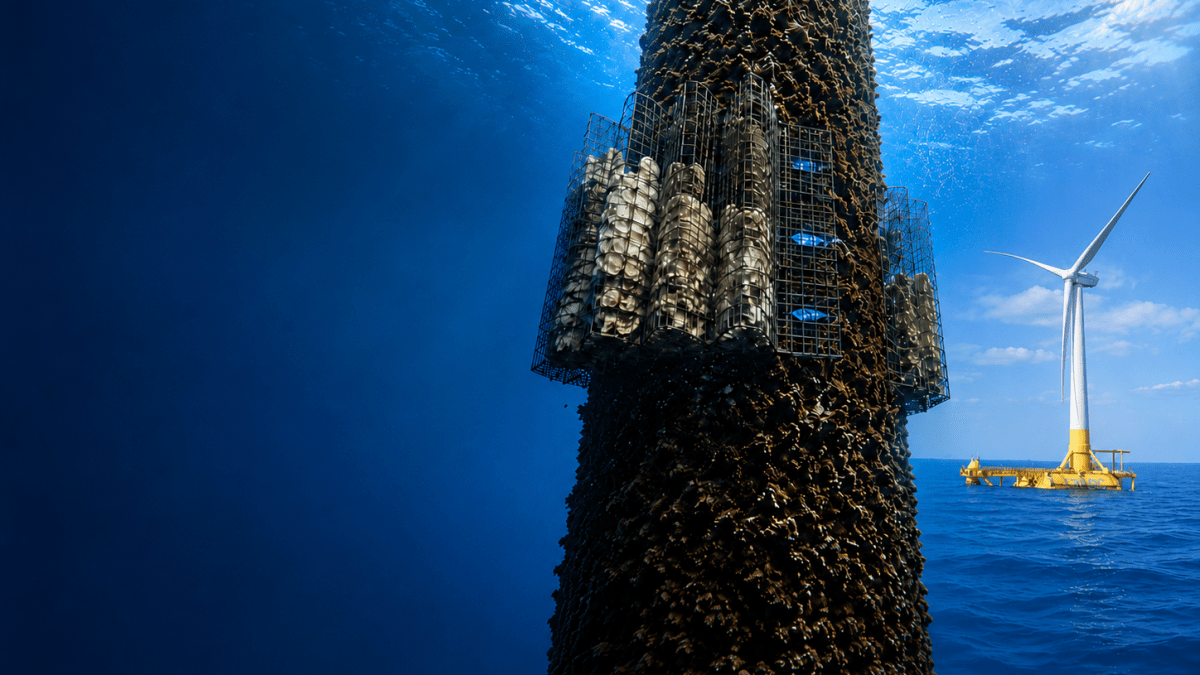 Nature inclusive designs installed at DemoSATH